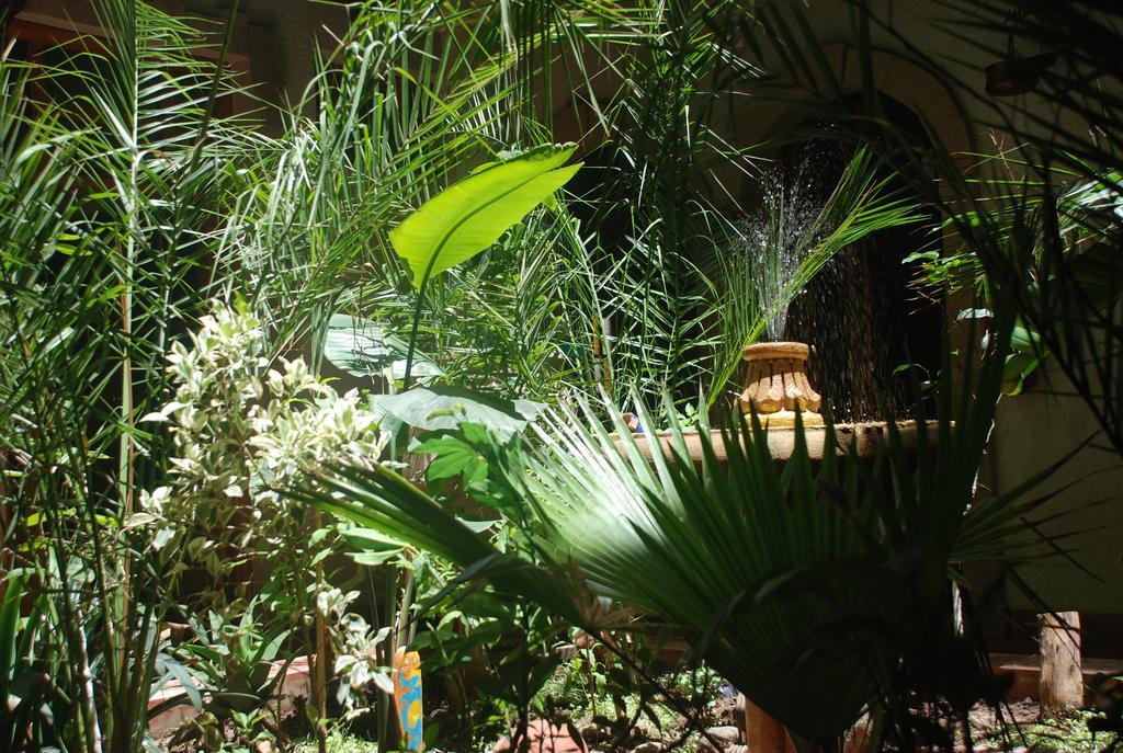Riad Arambys Esauira Exterior foto